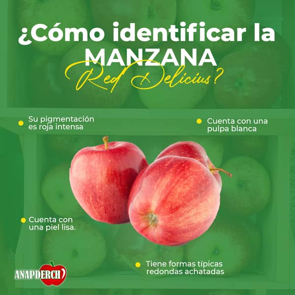 Cliente-ods